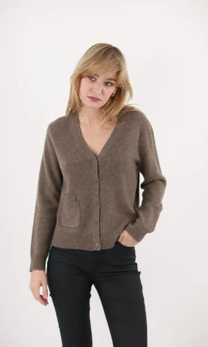 Gilet Col V Manches Longues Boutonné Deux Poches Uni Cachemire