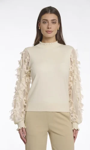 Pull Col Cheminée Manches Longues Transparentes Details Fantaisie Uni