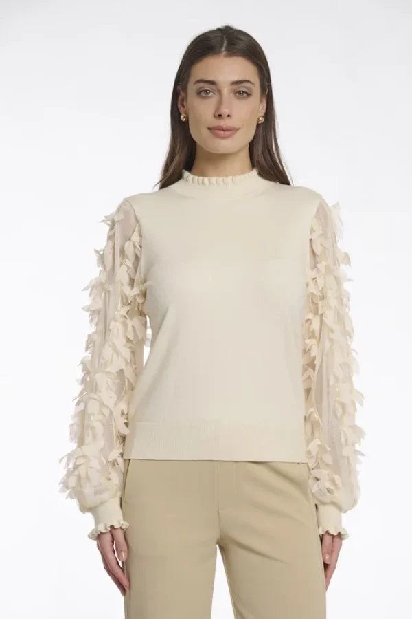 Pull Col Cheminée Manches Longues Transparentes Details Fantaisie Uni
