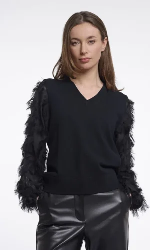 Pull Col V Manches Transparentes Plumes Appliquées Uni