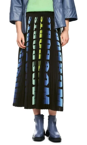 Jupe Midi Taille Moyenne Elastique Fluide Plissée Imprimée